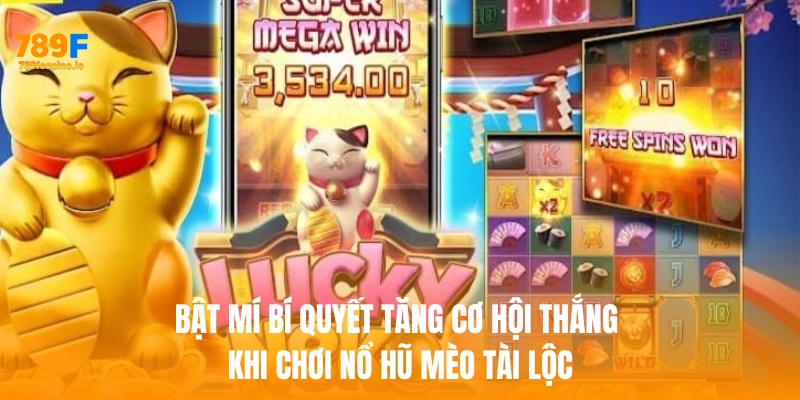 Bật mí bí quyết tăng cơ hội thắng khi chơi nổ hũ mèo tài lộc